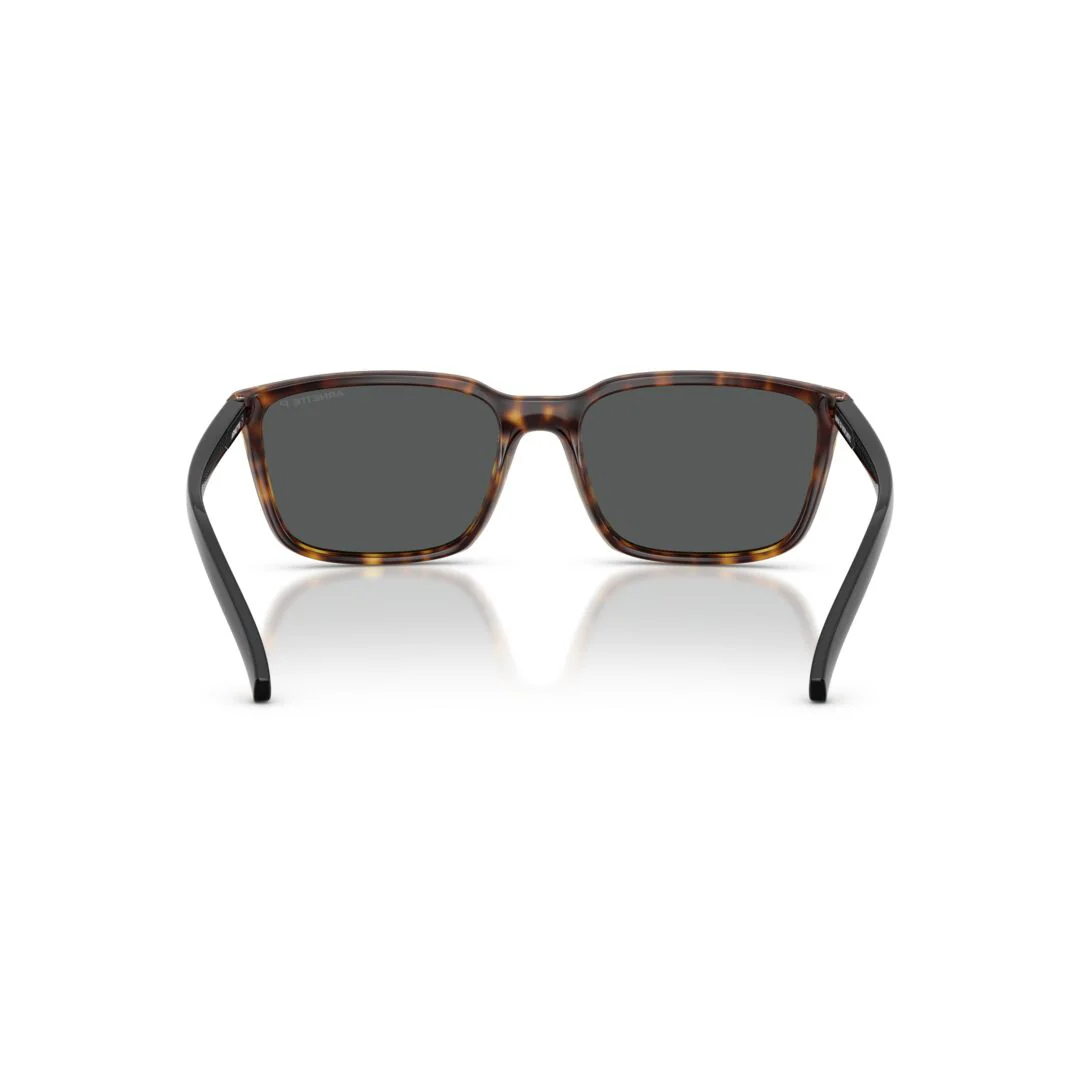 Gafas De Sol Arnette 0AN4311 Hombre Color Havana - Image 4
