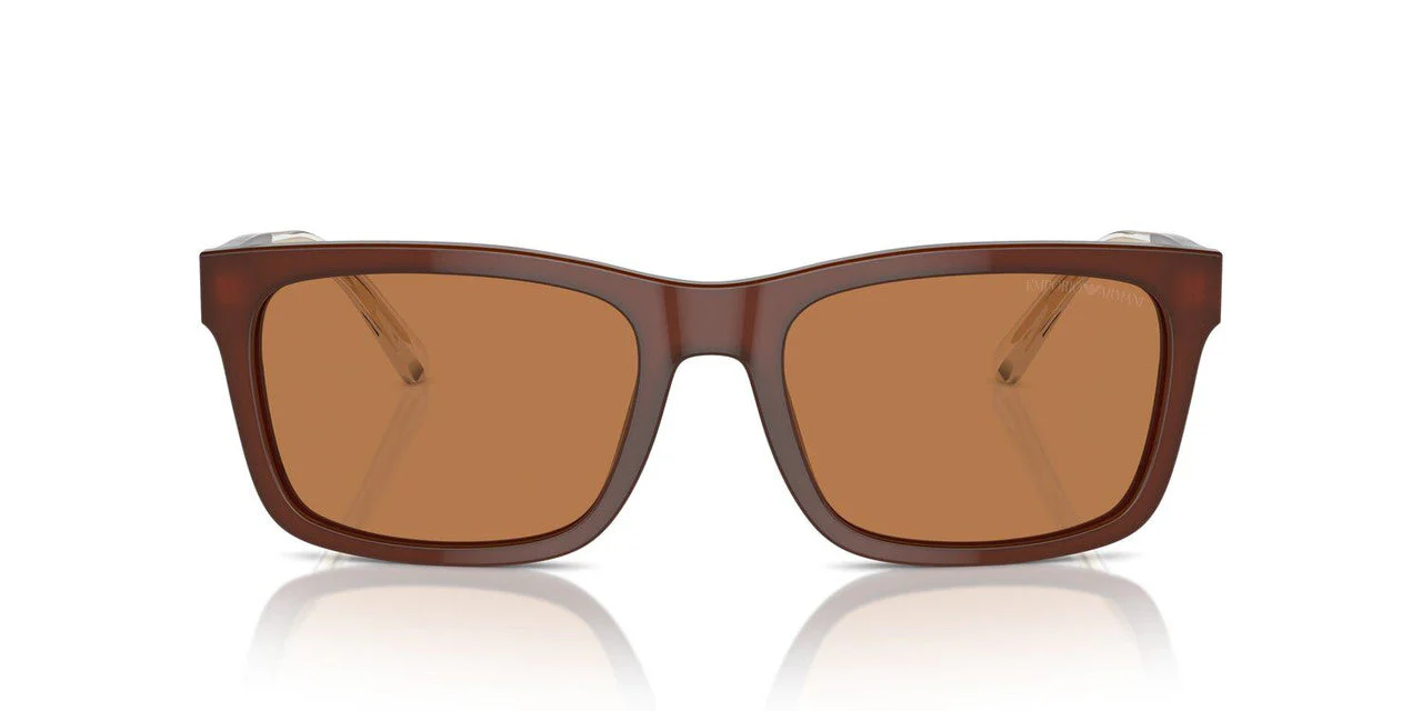 Gafas de Sol Emporio Armani EA4224 Hombre Color Café