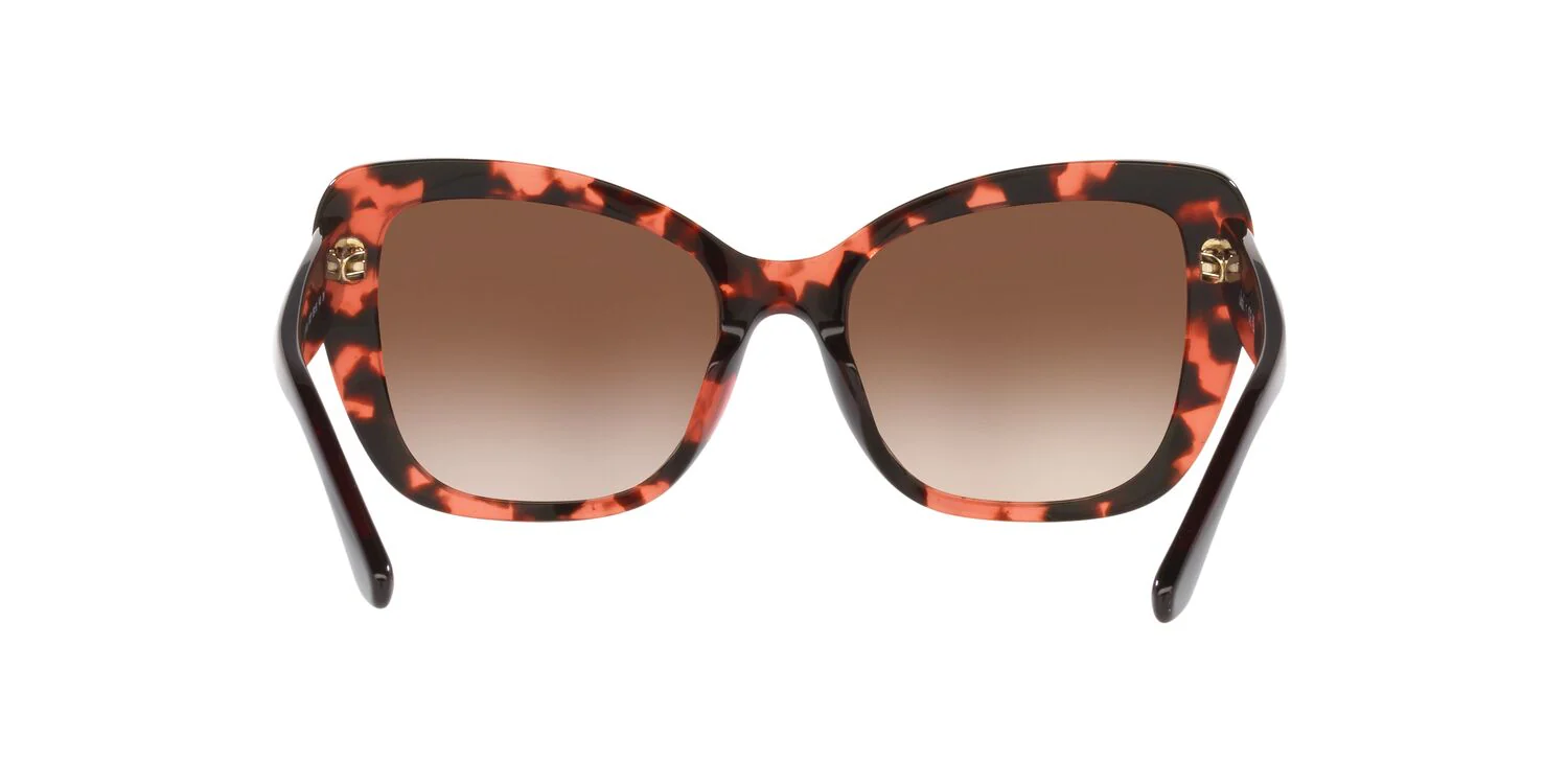 Gafas de Sol Jack Pacific 0JK6003U Mujer Color Havana - Image 4