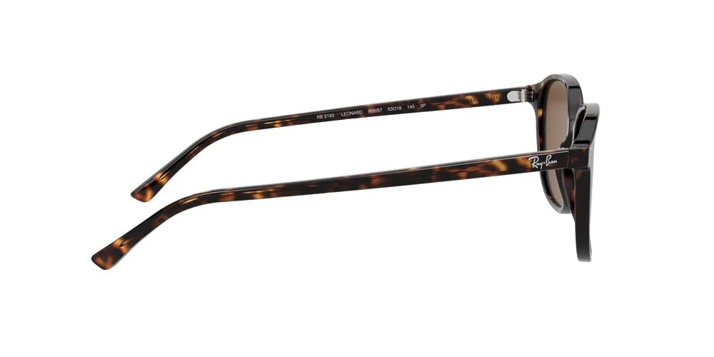 Gafas de Sol Ray-Ban 0RB2193 Unisex Color Café - Image 5