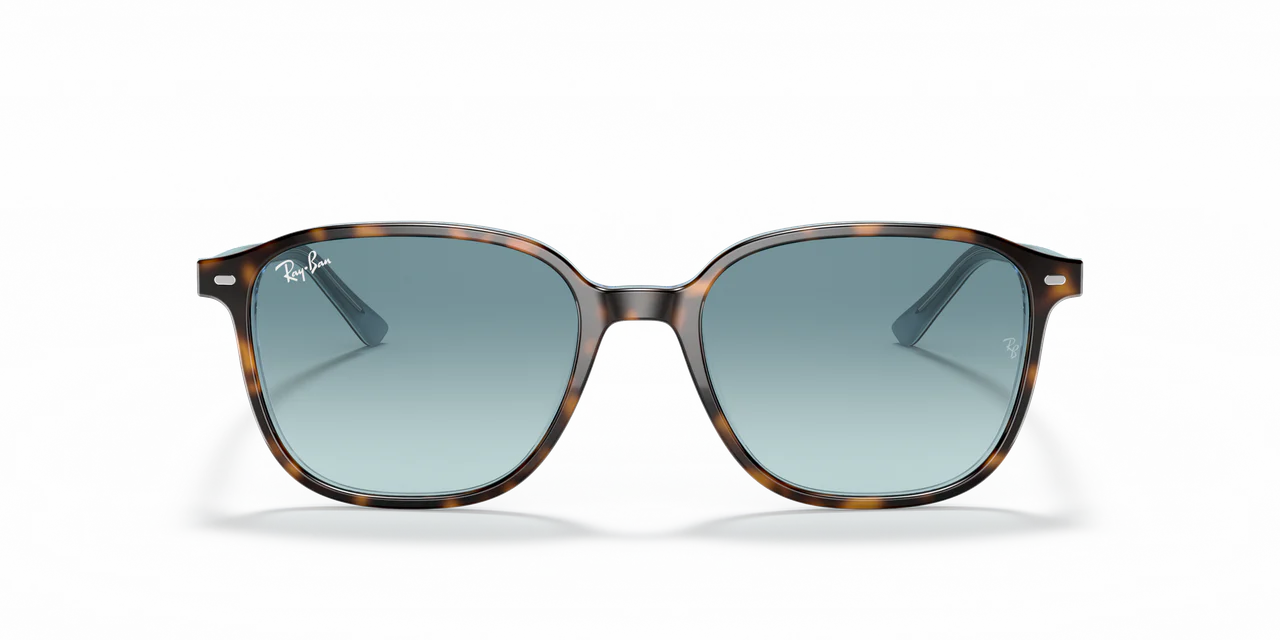 Gafas de Sol Ray-Ban 0RB2193 Unisex Color Havana