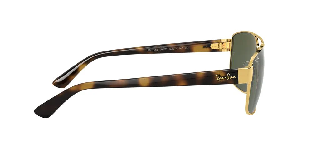 Gafas de Sol Ray-Ban 0RB3663 Hombre Color Dorado - Image 3