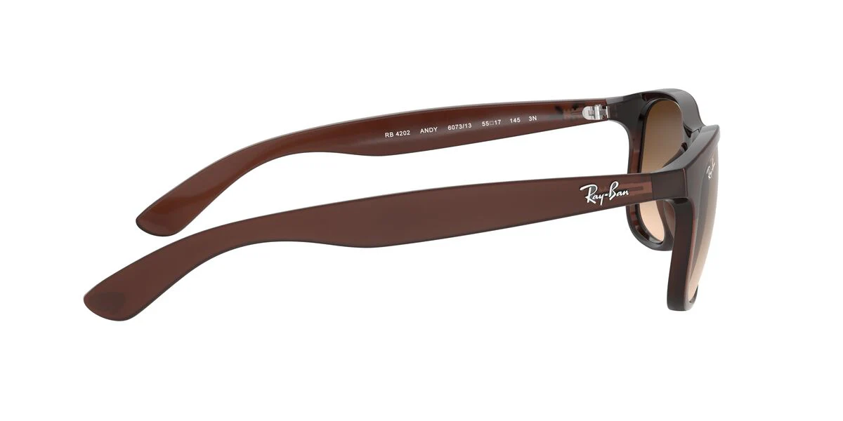 Gafas de Sol Ray-Ban 0RB4202 Hombre Color Café - Image 4