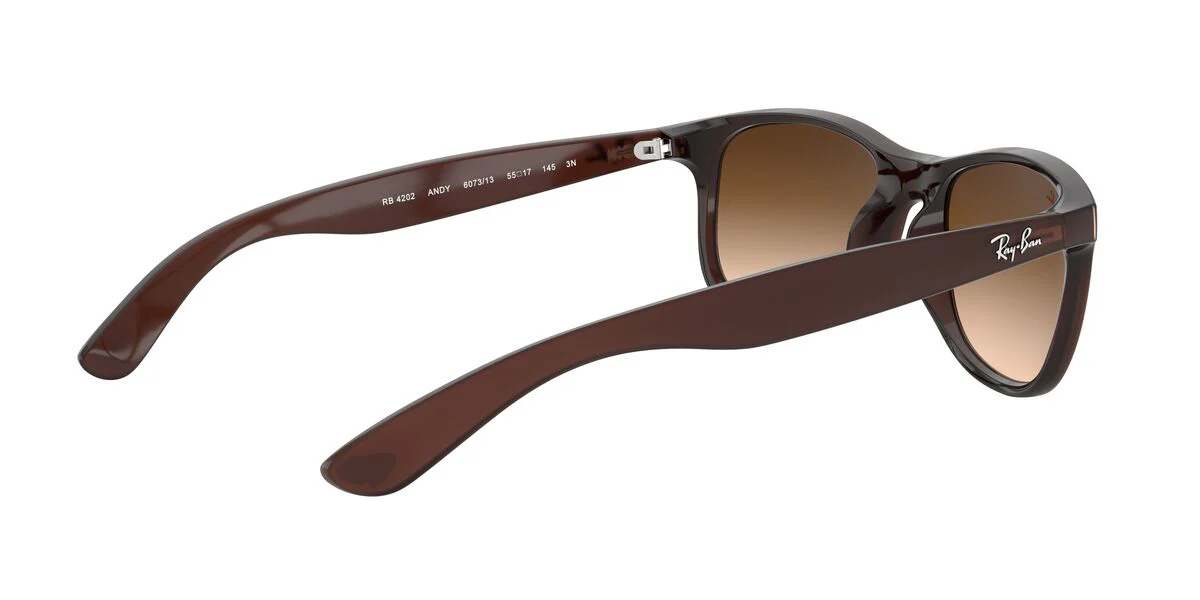 Gafas de Sol Ray-Ban 0RB4202 Hombre Color Café - Image 5