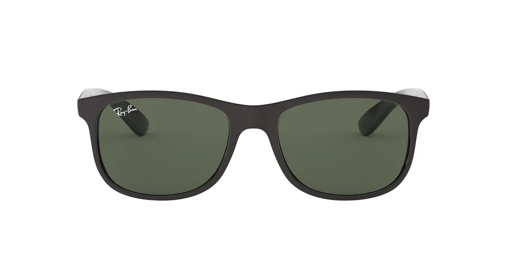 Gafas de Sol Ray-Ban 0RB4202 Hombre Color Negro