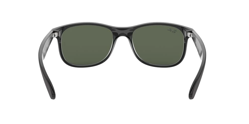 Gafas de Sol Ray-Ban 0RB4202 Hombre Color Negro - Image 4