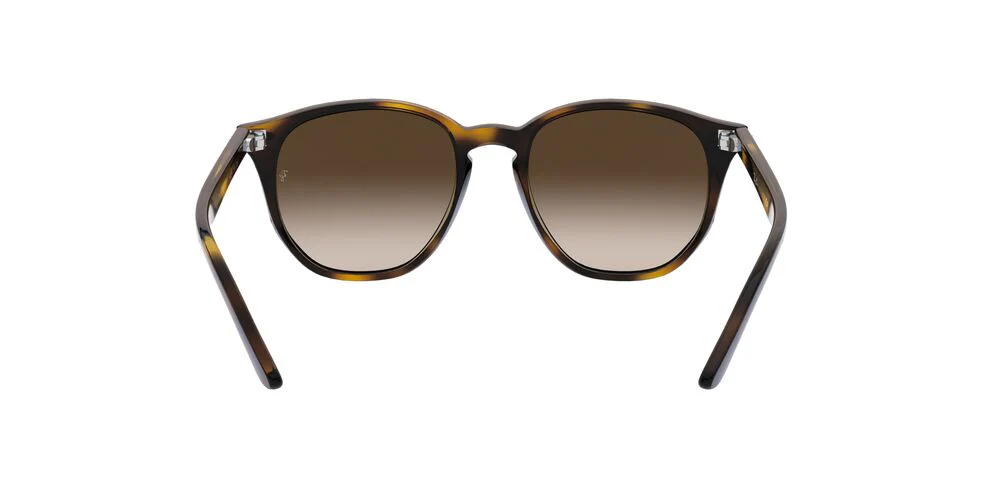 Gafas de Sol Ray-Ban Jr. 0RJ9070S Niño Color Havana - Image 4
