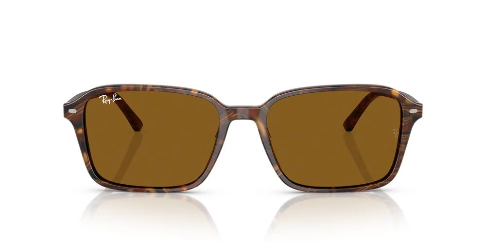 Gafas de Sol Ray-Ban RB2231 Unisex Color Café