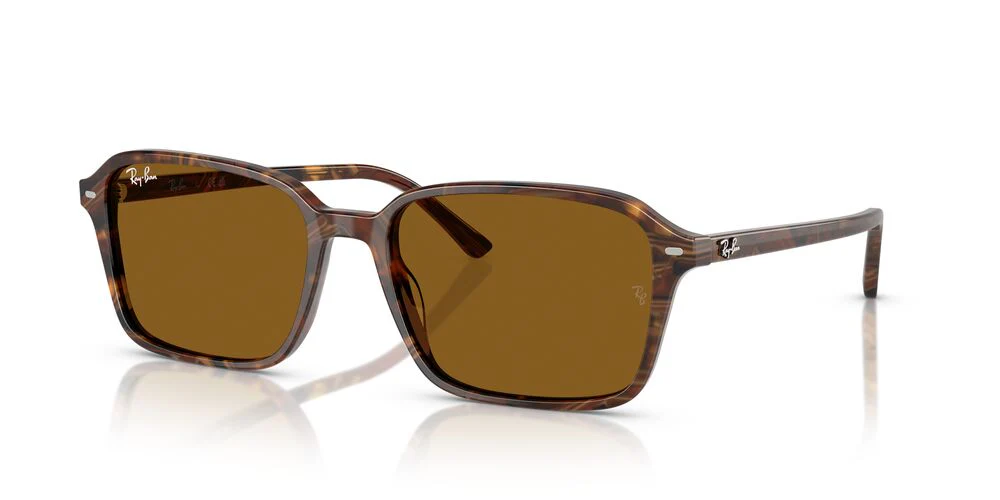 Gafas de Sol Ray-Ban RB2231 Unisex Color Café - Image 2