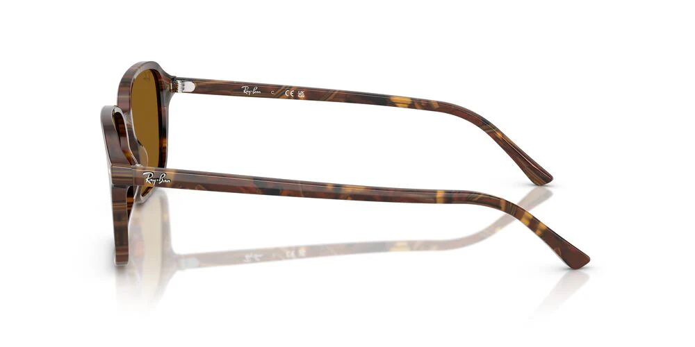 Gafas de Sol Ray-Ban RB2231 Unisex Color Café - Image 3