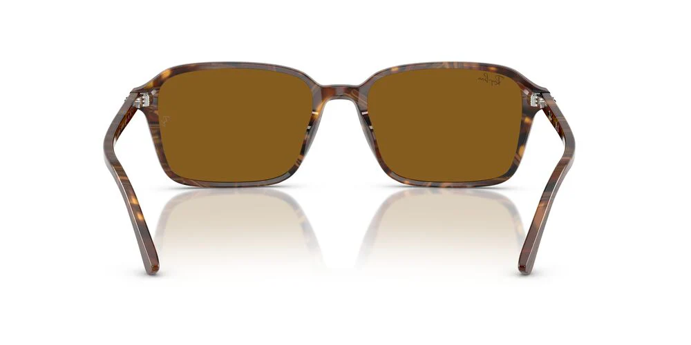 Gafas de Sol Ray-Ban RB2231 Unisex Color Café - Image 4