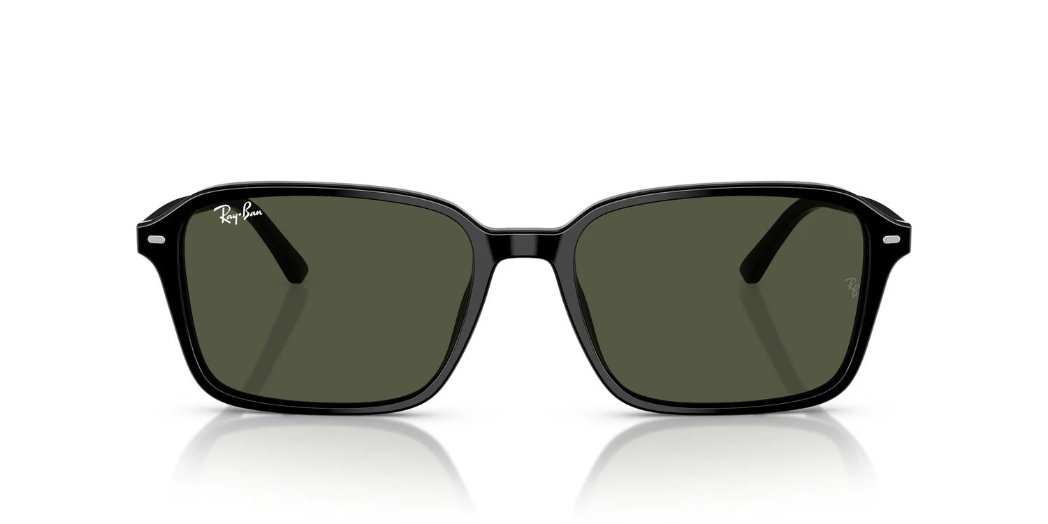 Gafas de Sol Ray-Ban RB2231 Unisex Color Negro