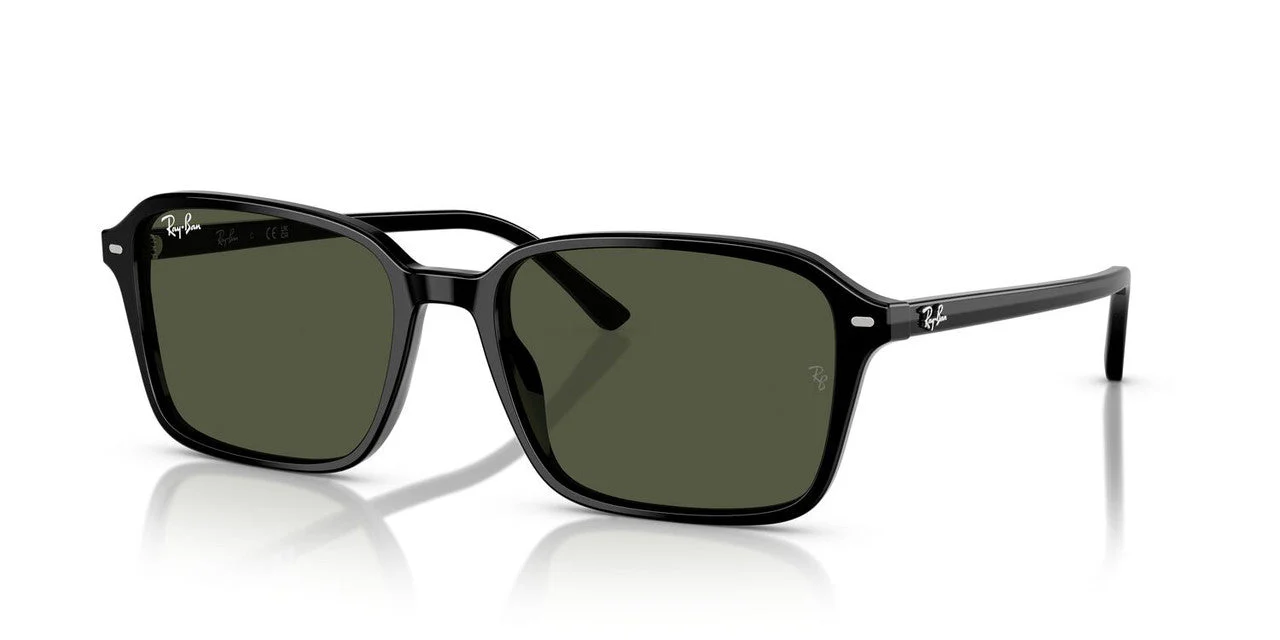 Gafas de Sol Ray-Ban RB2231 Unisex Color Negro - Image 2