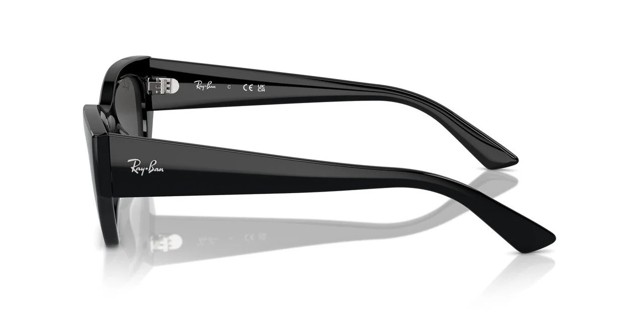 Gafas de Sol Ray-Ban RB4430 Unisex Color Negro - Image 3