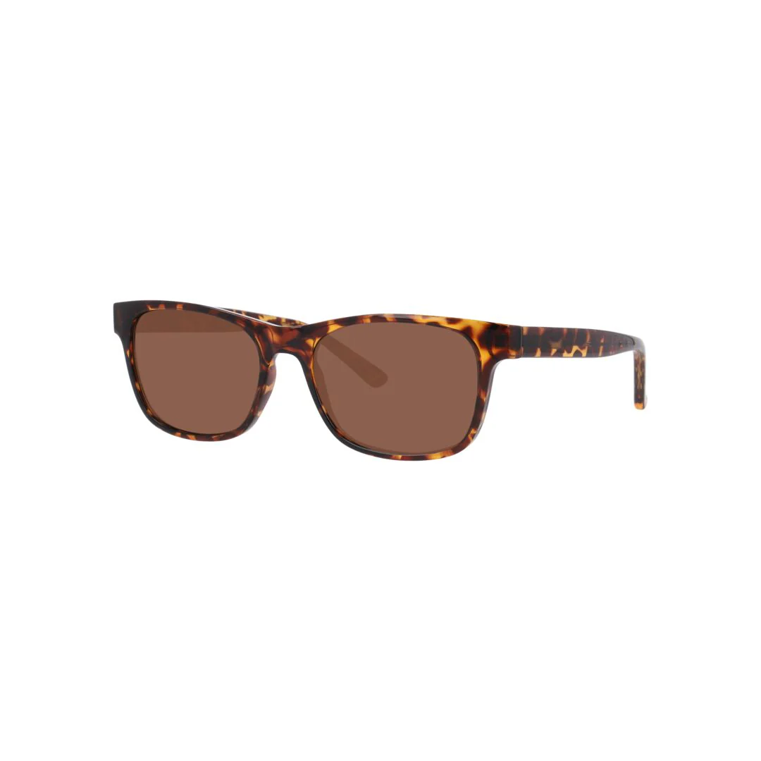 Gafas De Sol Seen 0NE6078 Unisex Color Havana - Image 2