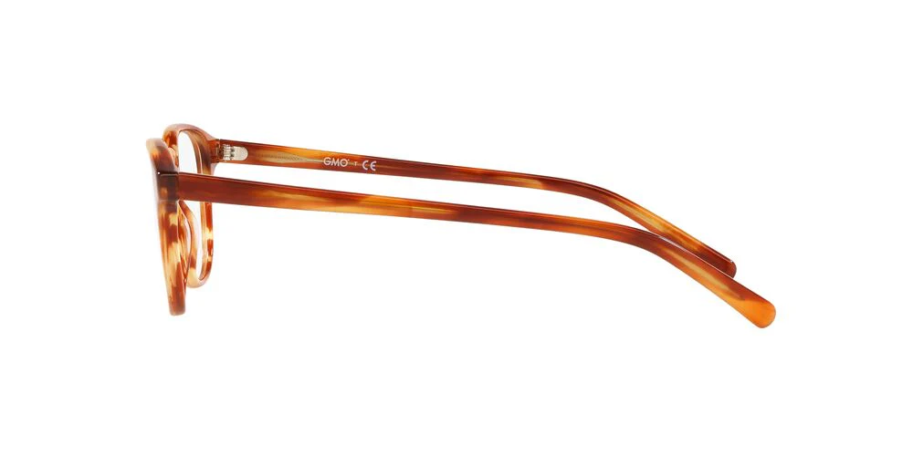 Gafas Oftálmicas GMO 0GN2004 Hombre Color Havana - Image 3